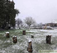 27130m2 samota obklopená lesom - Šalov, okres Levice - Zasnežená záhrada v Šalove s chatou a stromami počas zimného obdobia.