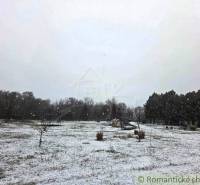 27130m2 samota obklopená lesom - Šalov, okres Levice - Sneženie na záhrade chaty v Šalove obklopenej stromami a zasneženou krajinou.