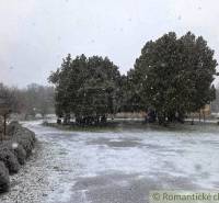 27130m2 samota obklopená lesom - Šalov, okres Levice - Snehová krajina v Šalove s chumáčom stromov pri chate.