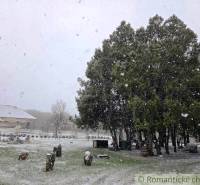 27130m2 samota obklopená lesom - Šalov, okres Levice - Zasnežená Chata v Šalove obklopená stromami a trávičkou pokrytou snehovými vločkami.