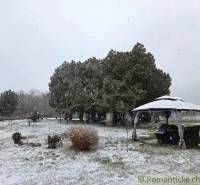 27130m2 samota obklopená lesom - Šalov, okres Levice - Zasnežená záhrada pri chate v Šalove s altánkom a stromami.