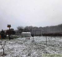 27130m2 samota obklopená lesom - Šalov, okres Levice - Zasnežená záhrada pri chate v Šalove s dreveným kŕmidlom a skleníkom.