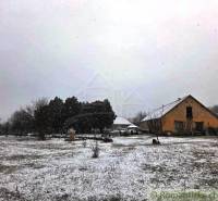 27130m2 samota obklopená lesom - Šalov, okres Levice - Zasnežená chata v Šalove obklopená zimnou prírodou a stromami.