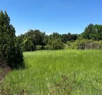 NA PREDAJ stavebný pozemok pod Zoborom ‼️znizena cena - Zelený pozemok na ulici Azalková, ideálny na bývanie, s bohatou vegetáciou.