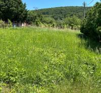 NA PREDAJ stavebný pozemok pod Zoborom ‼️znizena cena - Pozemky na ulici Azalková, tráva, stromy, vhodné na bývanie v prírode.