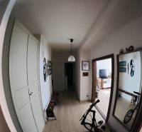 Veľký 2-izb. byt v tehlovom dome, Ružová dolina, Ružinov časť Nivy - Chodba v 2-izbovom byte s podlahou s dreveným dekorom, kreditom a bicyklom.