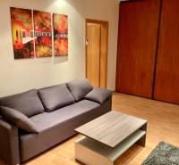 I Prenájom moderne zariadeného 3-izbového bytu v Petržalke. - Obývacia izba s šedou sedačkou, stolíkom, obrazmi a podlahou s dreveným dekorom.