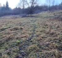 Rekreačný pozemok Čadca - Chladná krajina Rekreačných pozemkov v Čadci so spadnutými stromami a zvyškami trávy.