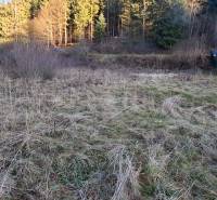 Stavebný pozemok Svrčinovec - Pozemky - bývanie v Svrčinovci s trávnatým porastom a blízkosťou lesa a budovy.