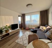 Novostavba FUXOVA 2 izbový byt, parking, Bosákova ul., BA V. Petržalka - Obývacia izba so sedačkou, televízorom a podlahou s dreveným dekorom v 2-izbovom byte.