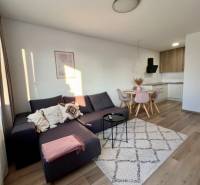 Novostavba FUXOVA 2 izbový byt, parking, Bosákova ul., BA V. Petržalka - Interiér 2-izbového bytu s pohovkou, kobercom a kuchynským kútom s jedálenským stolom.