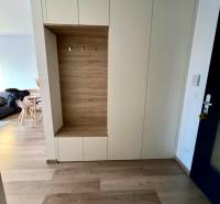 Novostavba FUXOVA 2 izbový byt, parking, Bosákova ul., BA V. Petržalka - Vstupná chodba s úložným priestorom a podlahou s dreveným dekorom v 2-izbovom byte.