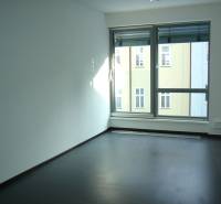 Krásny slnečný kancelársky priestor, BA Staré Mesto, Dunajská - Kancelárie s veľkými oknami a podlahou s dreveným dekorom.