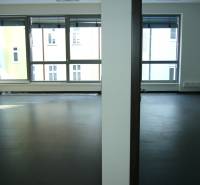 Krásny slnečný kancelársky priestor, BA Staré Mesto, Dunajská - Kancelárie s veľkými oknami a podlahou s dreveným dekorom.