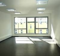 Krásny slnečný kancelársky priestor, BA Staré Mesto, Dunajská - Osvetlená kancelária s veľkým oknom a podlahou s dreveným dekorom.