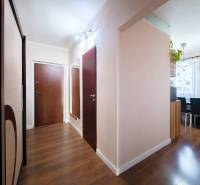 Kompletne zrekonštruovaný 3-izbový byt s balkónom – Rimavská Sobota - Chodba v 3-izbovom byte s podlahou s dreveným dekorom a vešiakovou stenou.