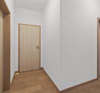 PRENÁJOM 3i byt s veľkorysou terasou a súkromím – Staré Grunty - Vstupná chodba v 3-izbovom byte s podlahou s dreveným dekorom a bielymi stenami.
