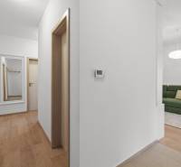 PRENÁJOM 3i byt s veľkorysou terasou a súkromím – Staré Grunty - Chodba so zrkadlom, zelenou pohovkou a podlahou s dreveným dekorom v 3-izbovom byte.