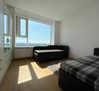 NUERA︱PANORAMA CITY- Veľký 3-izbový byt s výhľadom na hrad - Svetlá izba v 3-izbovom byte, obsahuje pohovku, šatník a výhľad cez veľké okno.