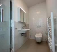 NUERA︱PANORAMA CITY- Veľký 3-izbový byt s výhľadom na hrad - Kúpeľňa v 3-izbovom byte s umývadlom, sprchou a rebríkovým radiátorom.