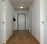 NUERA︱PANORAMA CITY- Veľký 3-izbový byt s výhľadom na hrad - Chodba 3-izbového bytu s bielymi dverami a podlahou s dreveným dekorom.