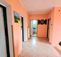 5.izb RD Čereňany pozemok 1028m - Chodba v rodinnom dome s dlažbou, oranžovými stenami a nástennou dekoráciou.