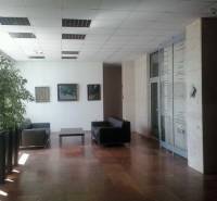 Kancelárie, Drieňová ul., Ružinov 25 m2 - Kancelárie s posedením, obrazmi na stene a sklenenými dverami v interiéri.