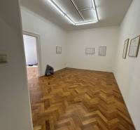 3,5 izb. byt v priamo centre Bratislavy na pešej zóne - Chodba v 4-izbovom byte s bielymi stenami a podlahou s dreveným dekorom.