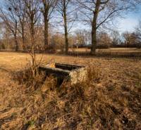 Predaj investičného pozemku - Stupava – extravilán- 13 804 m² - Krajina s betonovou štruktúrou obklopená stromami v Stupave, Stupava, Pozemky - komerčné.