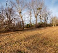 Predaj investičného pozemku - Stupava – extravilán- 13 804 m² - Zimná krajina v Stupave na ulici Stupava so stromami na komerčných pozemkoch.