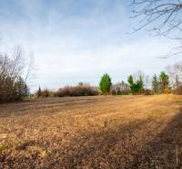 Predaj investičného pozemku - Stupava – extravilán- 13 804 m² - Pozemky - komerčné v Stupave na ulici Stupava, otvorené priestranstvo s okolitými stromami.