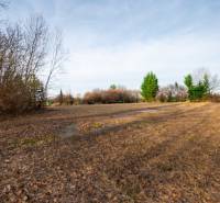 Predaj investičného pozemku - Stupava – extravilán- 13 804 m² - Pozemky - komerčné v Stupave na ulici Stupava, zarastené stromy a trávou.