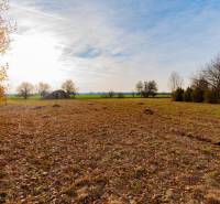 Predaj investičného pozemku - Stupava – extravilán- 13 804 m² - Komerčné pozemky v Stupave na Stupave s jesennou krajinou a stromami.