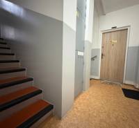 R E Z E R V O V A N Ý 3 izbový byt s balkónom , Košická, Komárno - Schodisko a vstupné dvere v 3-izbovom byte s podlahou s dreveným dekorom.