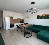 Novostavba 2,5-izb. bytu v NUPPU, garážové státie + vonkajšie státie - Obývacia izba s kuchynským kútom, podlahou s dreveným dekorom, zelenou pohovkou a stropným svietidlom.