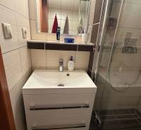 4-izb. byt, Wolkrova, Petržalka, 7.p./8 - Kúpeľňa so sprchovým kútom a umývadlom v 4-izbovom byte.