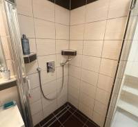 4-izb. byt, Wolkrova, Petržalka, 7.p./8 - Sprchový kút v kúpeľni 4-izbového bytu s obkladom v tmavých a svetlých odtieňoch.