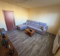 4-izb. byt, Wolkrova, Petržalka, 7.p./8 - Obývačka so sedačkou, TV stolíkom a podlahou s dreveným dekorom v 4-izbovom byte.