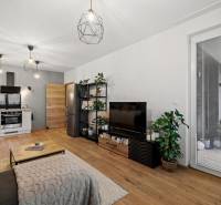 I Na predaj priestranný 2-izbový byt v Rovinke (City Park) - Obývacia izba v 2-izbovom byte s podlahou s dreveným dekorom, pohovkou a kuchynským kútom.