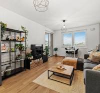 I Na predaj priestranný 2-izbový byt v Rovinke (City Park) - Obývačka v 2-izbovom byte s podlahou s dreveným dekorom, sedačka, stolík, rastliny.