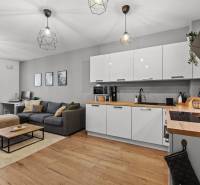 I Na predaj priestranný 2-izbový byt v Rovinke (City Park) - Obývacia izba s kuchyňou v 2-izbovom byte, disponuje podlahou s dreveným dekorom a sedačkou.