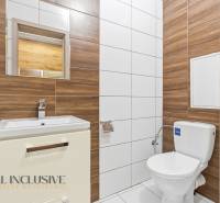 Na predaj moderný 2-izb. byt s loggiou vo Vrábľoch - Kúpeľňa v 2-izbovom byte s toaletou, umývadlom a obkladmi s dreveným dekorom.