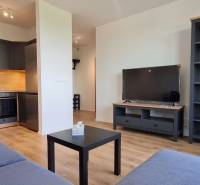 Zariadený 2-izb. byt v novostavbe v Ružinove - Ovocné sady - 2-izbový byt s kuchynskou linkou, modrým gaučom, televízorom a podlahou s dreveným dekorom.