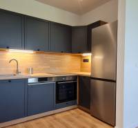 Zariadený 2-izb. byt v novostavbe v Ružinove - Ovocné sady - Kuchyňa v 2-izbovom byte s tmavosivými skrinkami, dreveným dekorom a nerezovými spotrebičmi.