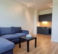 Zariadený 2-izb. byt v novostavbe v Ružinove - Ovocné sady - 2-izbový byt s modrou sedačkou, tmavou kuchyňou a podlahou s dreveným dekorom.