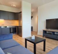 Zariadený 2-izb. byt v novostavbe v Ružinove - Ovocné sady - Obývacia izba s kuchynským kútom, šedou pohovkou a podlahou s dreveným dekorom v 2-izbovom byte.