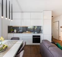 ZATON - Apartmán so záhradou - na predaj  - Moderná kuchyňa v rekreačnom apartmáne s podlahou s dreveným dekorom a jedálenským stolom.