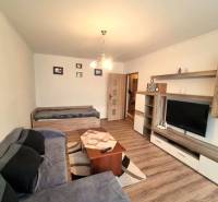 Pekný 2 izbový byt na prenájom - Malacky - Obývacia izba s podlahou s dreveným dekorom v 2-izbovom byte, pohovka a televízor.