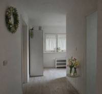 Na predaj kompletne zrekonštruovaný RD Bernolákovo -Trnavská - Svetlá chodba rodinného domu s podlahou s dreveným dekorom, kvetmi a dekoráciami.