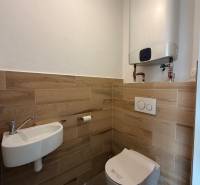 Novostavba rodinný dom Ludanice / REZERVOVANE - Toaleta v rodinnom dome s podlahou s dreveným dekorom a bojlerom na stene.